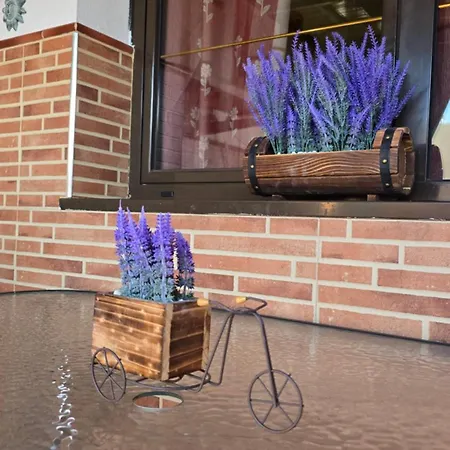 Апартаменты Gavira's *